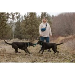 Ruffwear Pacific Ring™ Spielzeug Blau/ Türkis -Happy Hund 55dba30b9a5e3fc77d29bb72e0dc6fad83c40ffc 1444351 de DE 8a3b2d989e7fae2c85eabfcfca3bb7709484f9a3jKDH9l