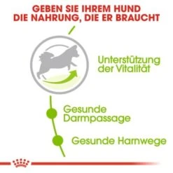 ROYAL CANIN X-Small Mature 8+ 3 Kg -Happy Hund 5bae2d1c25e04221609bbb270c73a61c79881b4e fec5c241b14be5aeb06ed7c5e61f2c5c7a039aae