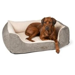 TrendPet VitaBed Classic Orthopädisches Hundebett Beige S -Happy Hund 5c704703d083b33ec8c221d0938df87d447decdf 1312262 de DE 97dcd72bcfe27321b936b4dd62b7930c7c980c71CbB2Ne
