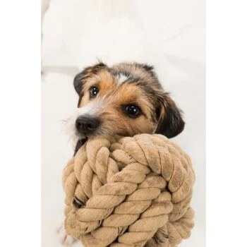 Trixie BE NORDIC Tau-Ball 18cm – Bild 3