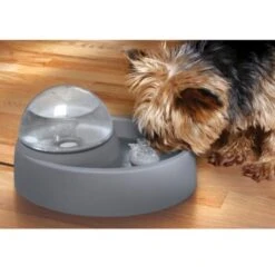 Numaxes Eyenimal Trinkbrunnen 1,5l -Happy Hund 612512ae3e55fd25731acfc2a0abcdc5bfeba8fb b7754bc2b320ccef10b70045a810474d6996a8cb