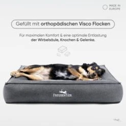 Freudentier Orthopädisches Box Hundebett Siebenschläfer M -Happy Hund 61723156d2f7b54e22f71e43abc1163a7ef00ee3 1477909 de DE 93feee0eca897413bd7276c1693c404746a7a792qKZ8IZ