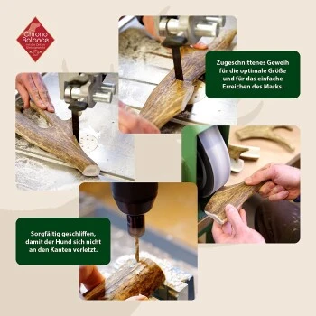 ChronoBalance Kaugeweih Damhirsch (S) 2er Paket 4 ChronoBalance Kaugeweih Damhirsch (S) 2er Paket – Bild 2