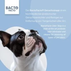 ChronoBalance BactoFacto Probiotischer Geruchsstopp Pads Für 2 Liter 20 Ml -Happy Hund 6515b6e6800e68909a0a5f7e0f816613e8c36542 1397549 de DE 9a466fcf5c88e78df191b07c6d764f4746df49dcxtsIbT