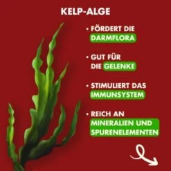 Irish Pure - Rind, Huhn + Gemüse & Kelp 1,5 Kg -Happy Hund 6614a262a5338c400049d067ca043e5726b4882d 1274248 de DE c743aaaf5de4844ec31cc2b80926e5beb042a8ccwoyMTt