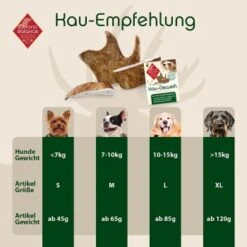 ChronoBalance Kaugeweih Damhirsch (S) 2er Paket 8 ChronoBalance Kaugeweih Damhirsch (S) 2er Paket -Happy Hund 66dad232a7a3277a8c2b14c2f9028958861bcd91 1418695 de DE 9d0fae21483906190d35a659049e257a0043b15en4pXJB