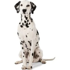 MORE Liegeplatz Karo LOOKS By Wolfgang Joop M -Happy Hund 6828406bf5c097465ec912985de2b95c60385f12 1410461 3