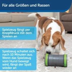 PetSafe Selbstbewegendes Belohnungsspielzeug Kibble Chase -Happy Hund 6b1920cf9ffb6c6b92c0e3f50bf6b7d9033e9fd6 1418726 de DE a1feae64cba24999500088d436e08df6fdbd0a02Zb2Mjr