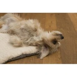 TrendPet Heaven Gefütterte Liegedecke Beige XS -Happy Hund 6f0762b8ea010ef696f1e6b7b2d164775a699202 1247692 de DE 1b30b7ee4e67b9ef5127b085f041b5de3ea0fafdm2xGRF