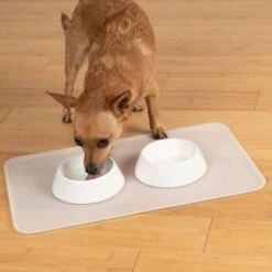 KaraLuna Basic Napfunterlage Transparent S -Happy Hund 6f92b46b9666870298738b4bee75a50ee534fac6 1407499 de DE 14497c23a79b7136237df13f9c32b5ed84fd5ff04vyZgl