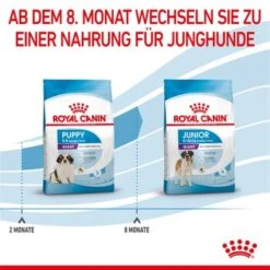 ROYAL CANIN Giant Puppy 15 Kg -Happy Hund 7351d9b6bcef390d1cbfd7312489b9bcc3118962 3182550707046 7