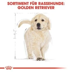 ROYAL CANIN Golden Retriever Puppy 12 Kg -Happy Hund 73c01baa5617d8e4eefc140421f005671443a632 2410f5454822a7466dc6948215a65959073407bf