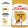 ROYAL CANIN Boxer Adult 12 Kg -Happy Hund 7428a22a998bae277319ec8a859a404995e650b4 1892335f7938491fa90f85aa1772a3ef90fa1e33