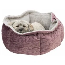 Trixie Bett Estelle Samt-Optik ø 50 Cm Beere/ Grau -Happy Hund 77bb4f5cd7384a9905de3a40eb3a823ce700b54b 1378629 de DE Trixie 6