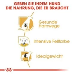 ROYAL CANIN Zwergschnauzer Adult 3kg -Happy Hund 77e331cd9fcae9ed7be9f7a8c30418a1469100cb 1e18f973f74ec6522c9cbb67634ea47bb6587bea