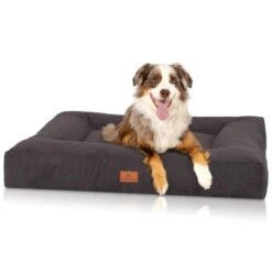 Knuffelwuff Orthopädisches Hundebett Aus Velours Mit Handwebcharakter Sofia Schwarz M-L -Happy Hund 7866a9ee37c544973ba623a007f339621db79188 1412217 de DE ddebd15250c94eee8e106bcaced6cd1e1c5dc83cEquHPd