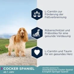EUKANUBA Breed Specific Cocker Spaniel 7,5kg -Happy Hund 789de7a0283f46da6e4749fa099ea83b92fb80f2 afb40c73f9aec76d202ff175bd4233f0448685b1