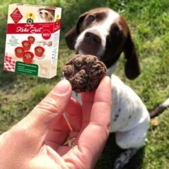 ChronoBalance Backmischung Für Hundekekse Getreidefrei + Form Mit Apfel & Dinkel -Happy Hund 791cb4d2028c3feba1e17eb7afcd1dc0477a3e51 1409548 de DE 8fa4e8db7b8a77ca60b4ef08f2d4cbbb72f1ad0bO5ya0q