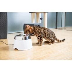 AniOne Edelstahl-Trinkbrunnen Trevi Ohne Ersatzfilter -Happy Hund 7a066af048695bbfaeca0a855e5984fc3bf99d03 689fcf415d486ac05c07f2a4868b1d087d7a9ece