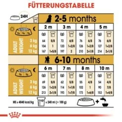 ROYAL CANIN Poodle Puppy 3kg -Happy Hund 7c356ad4610b8a705c3b24f682002d504aa26a06 03759a00ee1cb8701f90fe54c89729f207ade41a