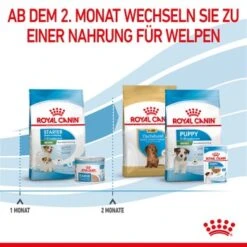 ROYAL CANIN Mini Starter 4 Kg -Happy Hund 7cfe30cc23997a8b985550fb3bbc8bf5628f0cdd 5ac24ac32cd46f87cbb131c48c87e5835f058d50