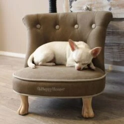 Happy House Sessel -Happy Hund 7dc69026c1513e8c2585722f3b59ffa57e63bb84 6e63ee9a689b42502c7ce6d515252b9326e9aebf