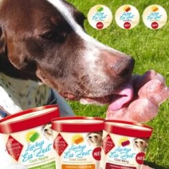 ChronoBalance Hundeeis Zum Selbermachen 3 Sorten + Form -Happy Hund 7fb304545ed84cdd6ff05c735a6d2044fa15d293 1409627 de DE eaf9ad6802061a247510bf4f0e60ce5f757a3896F1S5Be