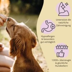 FAVLY Petfood Premium Naturkauartikel Kaninchenohren Mit Fell 360 G -Happy Hund 8093181eb1779b573d4f30ab92a622f254d394bb 1473998 de DE 89e3b1ce19443224c9f34b53e862490cf9c513adOzLPrs