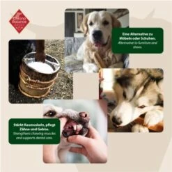 ChronoBalance Kuhmilch Käsestick (XL) 2er Paket -Happy Hund 80c435fb1a64772df08c2807cbb72aa6cb434ce1 1418708 de DE 6e5d452c715e3c46c21bd7dd434bb74b98e2078f2NxQrD