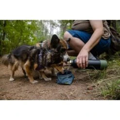 Ruffwear Great Basin™ Napf Schieferblau S -Happy Hund 824b44ccf17c67c3dd43e5523941633c95efed85 1651551 de DE fad827ec7223895423979e3215d64ffaeae47c26HGRUuZ