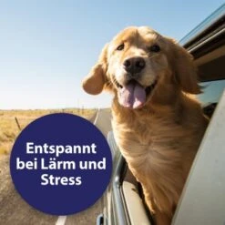 Canosept Home Comfort Beruhigungsspray Für Hunde 100 Ml -Happy Hund 83722164e39a9871cce2ee23a4ff550833c770e3 canosept home comfort content 03