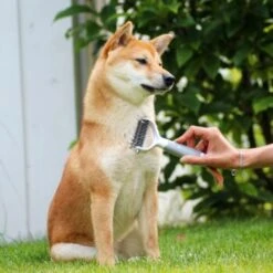 Schlitzohr Unterfellbürste Cookie -Happy Hund 8a282a966ab4bc47cbd028495077fe9505bb8eff 1484683 de DE f9a0182d0c3e6b7b158dd177c8fb6ca9048996c68U5RR2