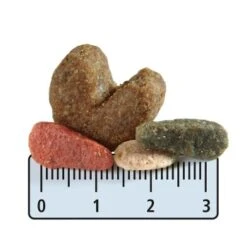 Happy Hund -Happy Hund 8d38af21c54ccafe109a557c00c3ae305e67a486 1001467003 de DE fgrew