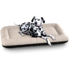 Knuffelwuff Wasserfestes In Und Outdoor Hundebett Lucky Color Edition Aus Nylongewebe Beige XL -Happy Hund 8dd02eaae612e5563702fdcfe16605b525d74142 1411797 de DE d114daa6157992e4ce140d57abc1c52285d7dd64ZAW4MD