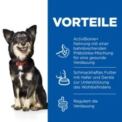 Hill's Science Plan Perfect Digestion Adult Small & Mini Mit Huhn 6 Kg -Happy Hund 8dfccd55cc4e278c94b56e2c553a5d04f124d418 52742044101 4