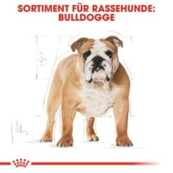 ROYAL CANIN Bulldog Adult 3 Kg 13 ROYAL CANIN Bulldog Adult 3 Kg -Happy Hund 94bd6e2a699860ae2cf6620281add0e7963c9903 6bbd91f11d1f5047e3d00609865561ab7a5064d8