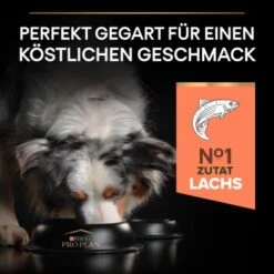 PRO PLAN Optiderma Medium Adult Sensitive Skin 14 Kg -Happy Hund 975c3c1eaa0ff309e6a4f4d9d25b97d74ad7910e 1206429 3