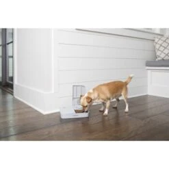 PetSafe Futterautomat Für 2 Mahlzeiten -Happy Hund 98670f242f118bad629edcf021dc784c6a55633d 1343837 2