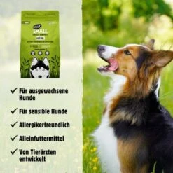 Eat Small EatSmall 2x10kg Active Trockenfutter -Happy Hund 9e24696186c4ac0ad1c1b16428f5d7017a5f05eb 1472610 de DE 045556f8e417da90be61f538db133a32cf0ddbabN0gXgq
