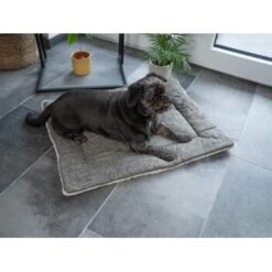 TrendPet Heaven Gefütterte Liegedecke Beige XS -Happy Hund a250ebf7f07ba5d773c54d67e9538f517799248c 1247692 de DE d12caa558397e1821266052fba97ab878b65ce18rmk3KL