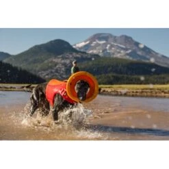 Ruffwear Hydro Plane™ Spielzeug M Orange -Happy Hund a3976cd8510df92d7b86f42c35fd984bc0313421 1364300 de DE 7e1ea9adae25d55e79a8aed2cc6dc797ac8d0d03R1qvUL