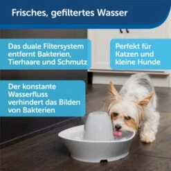 PetSafe Trinkbrunnen Streamside -Happy Hund a4863bb01c9defc206f3abadb7407b11767619bd 1423698 de DE d7c376710365041814bb26a7ca9d55a6a9011fd8Nm0GoI