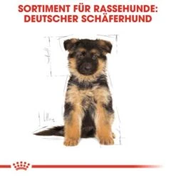 ROYAL CANIN German Shepherd Puppy 12 Kg -Happy Hund a6ed0d212b31f716e951be43160e14dc1fcf1361 828f54e1844421c8d74031b31ca63b9e59d8c1ae