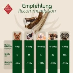 ChronoBalance Geweih Ganz (XXL) 2er Paket 11 ChronoBalance Geweih Ganz (XXL) 2er Paket -Happy Hund a89e043e81240aec61a556f9800c9e6e08c31036 1418694 de DE 4d92c5e784cdd8d6b1d665763cb1e2f4941e0be4UNpsQ0