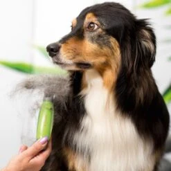 Moser Unterwollrechen -Happy Hund a9457afef8cc9854b1cc05428060e6aca1aa62d7 f209ef3f70da272484eca7394d5156f09925de7d