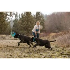Ruffwear Pacific Ring™ Spielzeug Blau/ Türkis -Happy Hund aaae4ecd59db92ffe25787fd56b7315d42974ecb 1444351 de DE f747ae339bc2beff156a317c539c1237b854177bd9ZZMN
