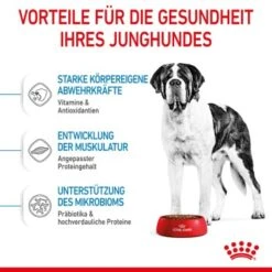 ROYAL CANIN Giant Junior 15 Kg -Happy Hund ac9391ed060fc88f758d4d37f9e70e5ec4c12fb1 3182550707077 5
