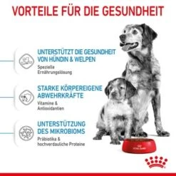 ROYAL CANIN Medium Starter 15 Kg -Happy Hund acb15bbb7b41e4def079872bea4263585c7c6e23 5870a5fecba74a3a49092a07c120a3ff257b845d