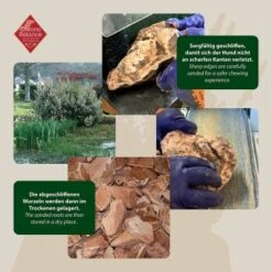 ChronoBalance Kauwurzel Baumheide (M) 2er Paket -Happy Hund b06b54c93bd6e51de6c4ae60bb85ff995c53b4df 1418714 de DE ba8b2a31068658c9820512bd79f25900dbe0cd09EnWSEP