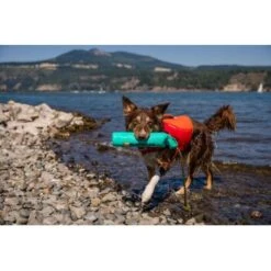 Ruffwear Lunker™ Spielzeug Blau/ Türkis -Happy Hund b1ff74faaf51c648517e284bc677372b2de917b1 1364294 de DE 872baa13c3c684e3cd884d6a02e37e7e22ad686cLNC7EY